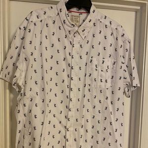 Colours Alexander Julian